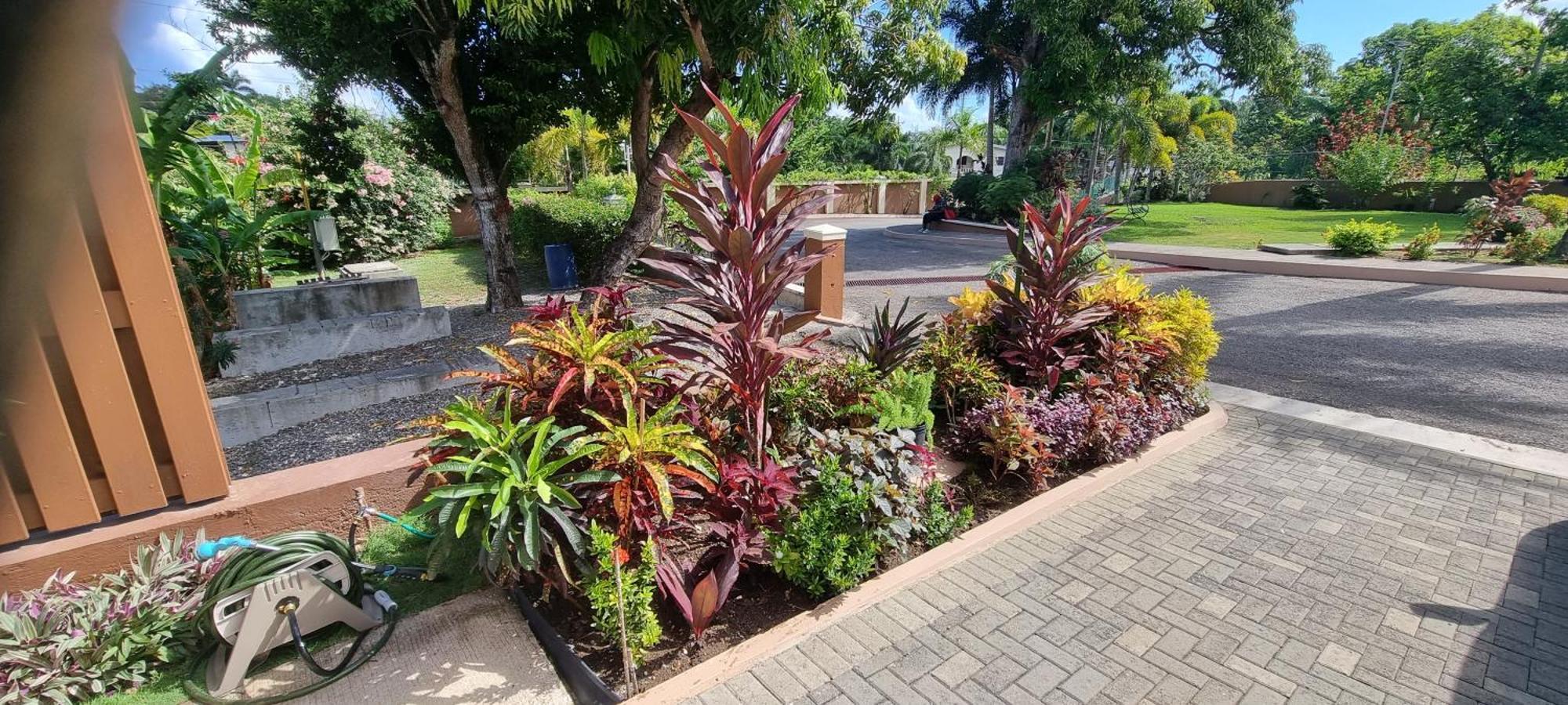 Komfort Getaway Villa At Countrymist Ocho Rios Bagian luar foto